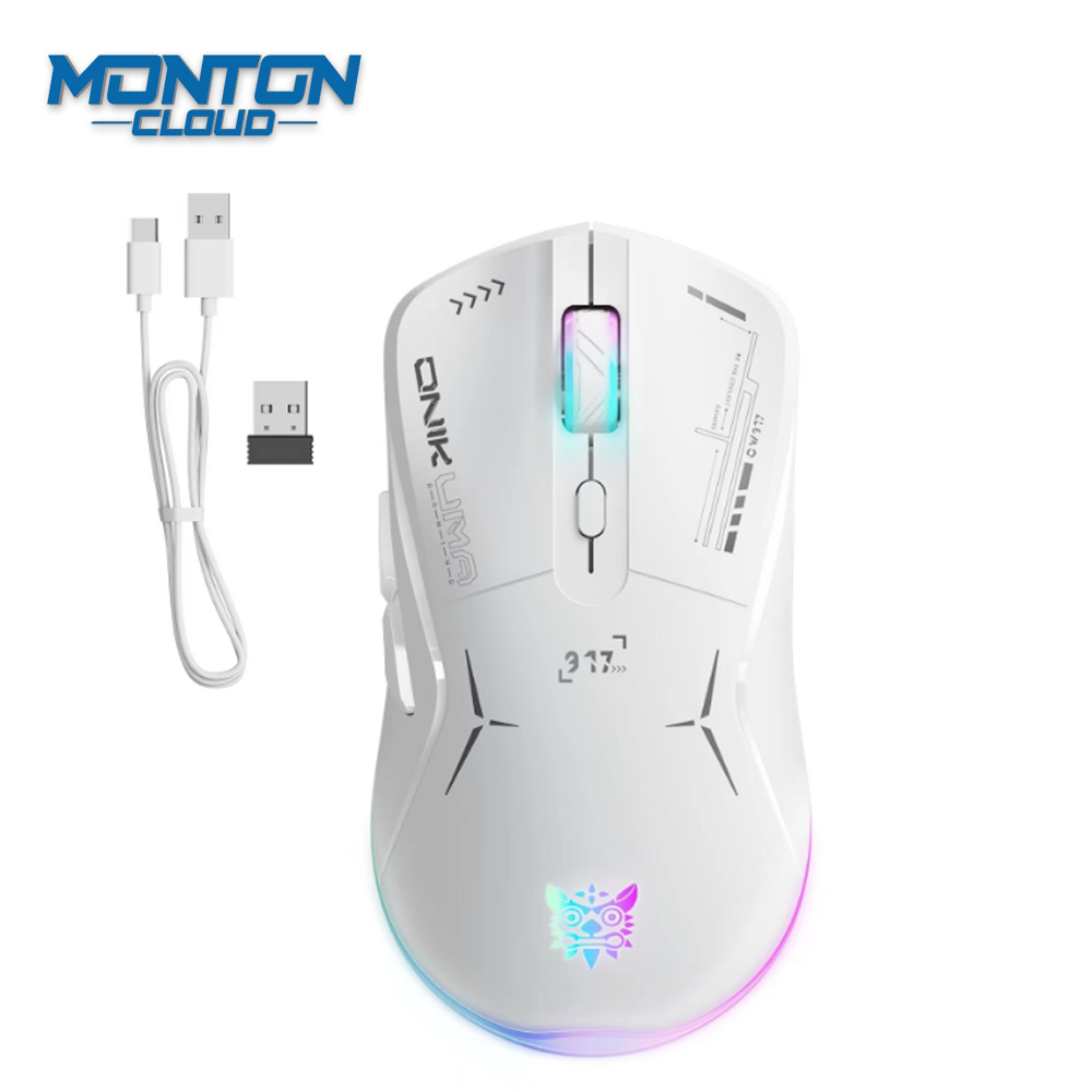 CW917-2.4G Gaming Mouse
