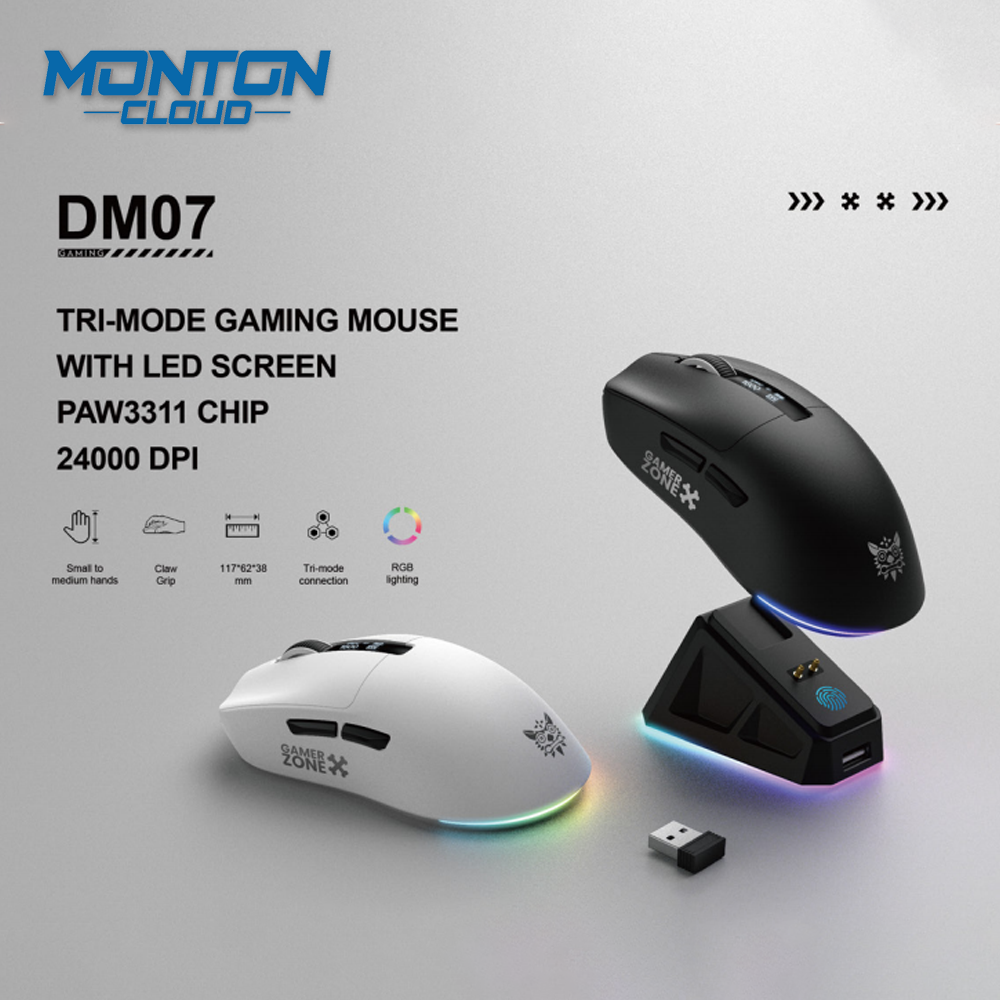 DM07-2.4G Gaming Mouse